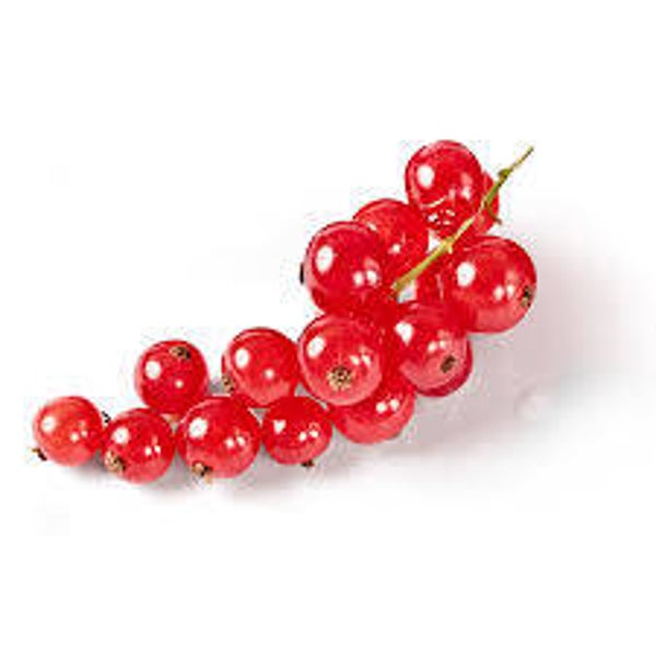 Johannisbeeren