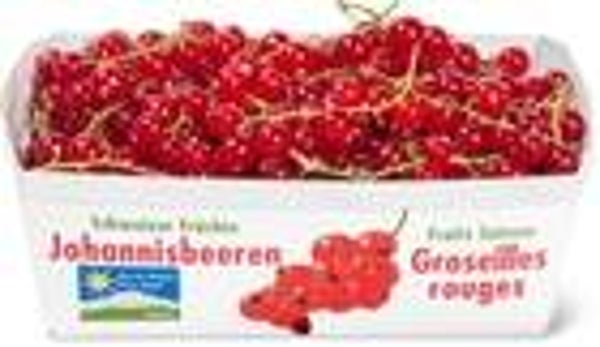 Johannisbeeren