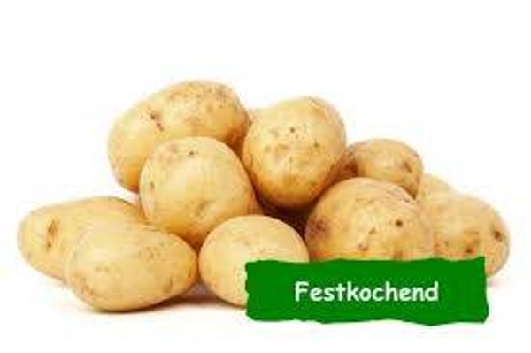Kartoffeln Festkochend