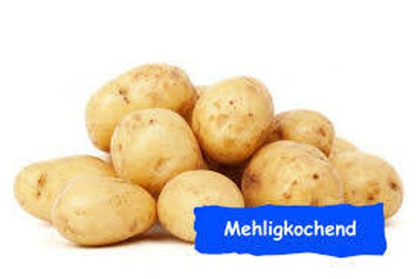Bio Kartoffel mehlig