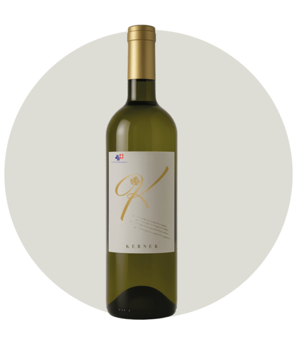 Banco del Ticino DOC 1 Flasche 75cl