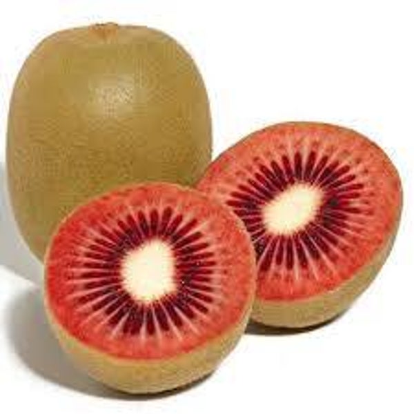 Kiwi rot
