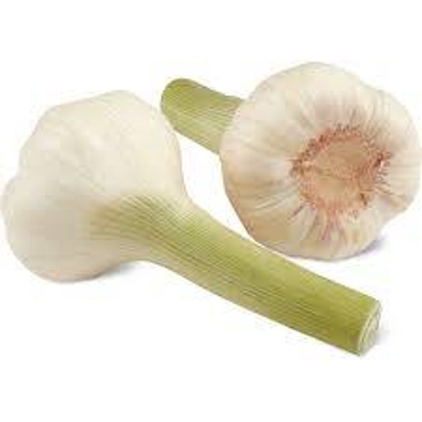 Bio Knoblauch frisch