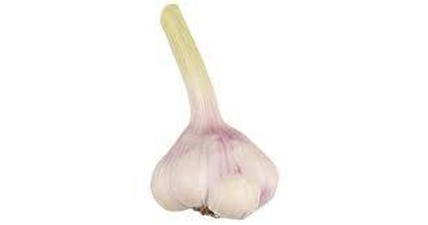 Bio Knoblauch frisch 1 Stk