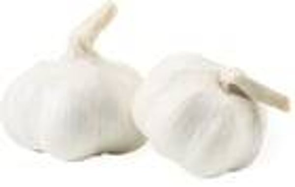 Knoblauch
