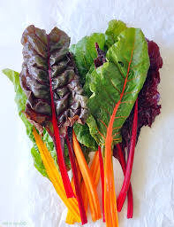 Bio Krautstil bunt