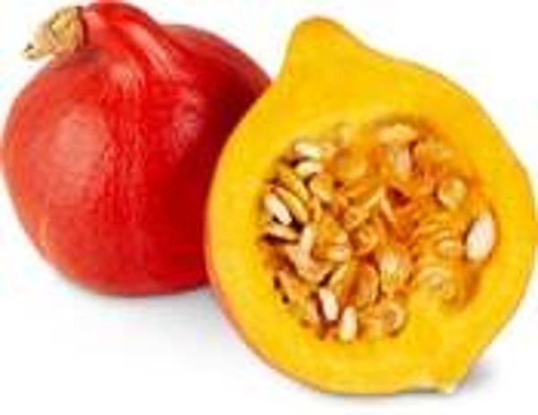 Kürbis oranger Knirps