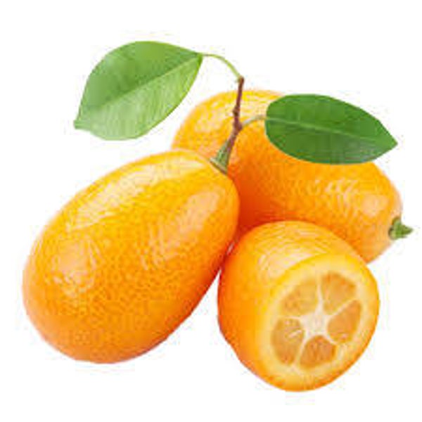 Kumquat