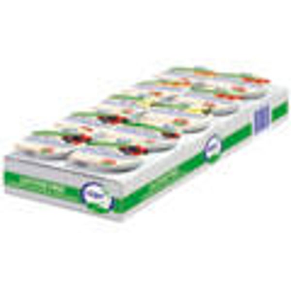 Joghurt assortirt lactosefrei 10x90g