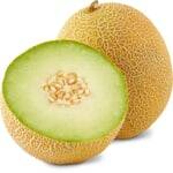 Melone Galia