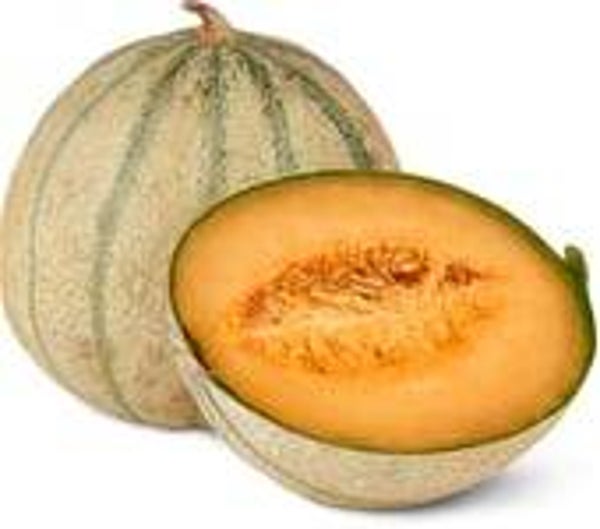 Melone Charentais