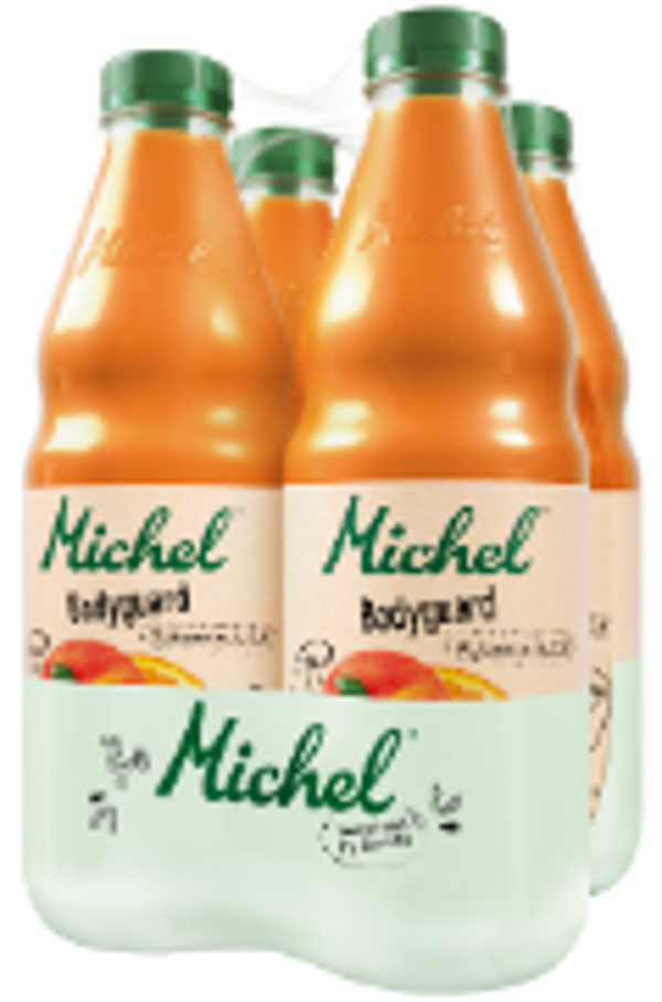 Michel Bodygard