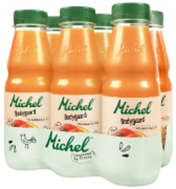 Michel Bodygard