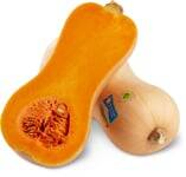 Bio Kürbis Butternuss