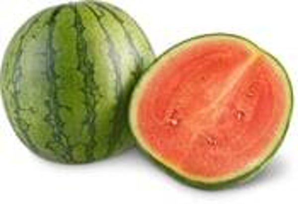 Bio Wassermelone