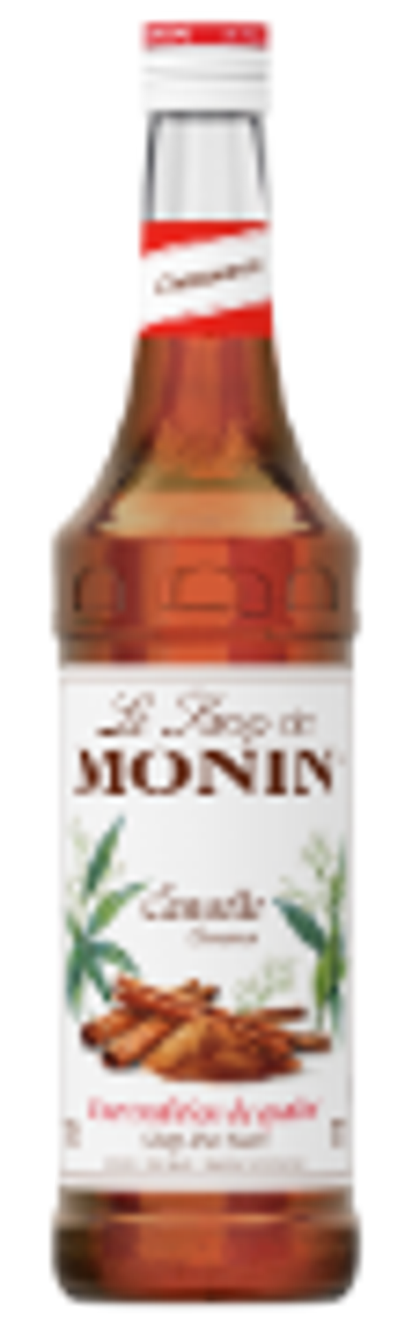 Monin Sirup Cannele (Zimt)