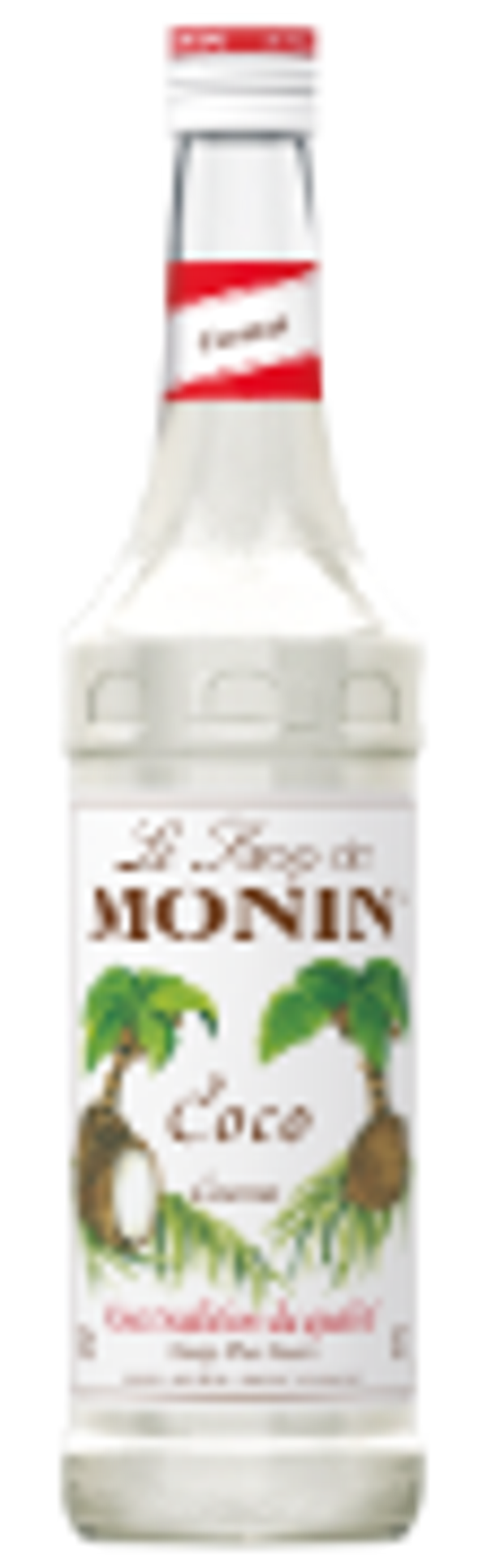 Monin Sirup Coco (Kokosnuss)