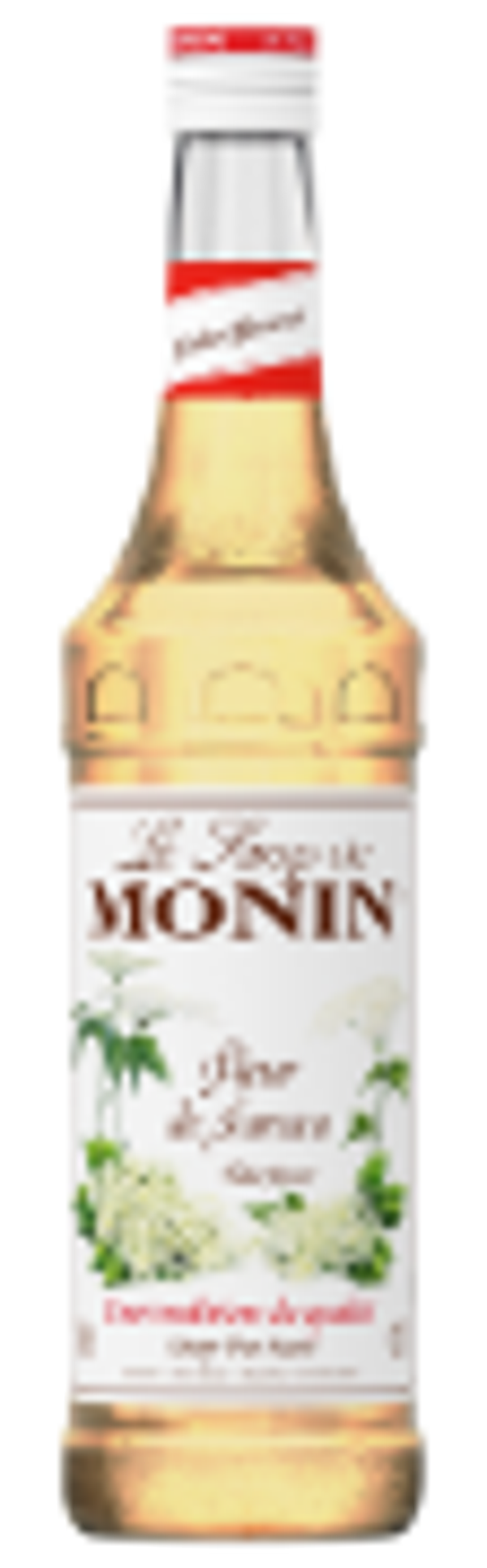 Monin Sirup Fleur d.Sureau (Holunderblüte)