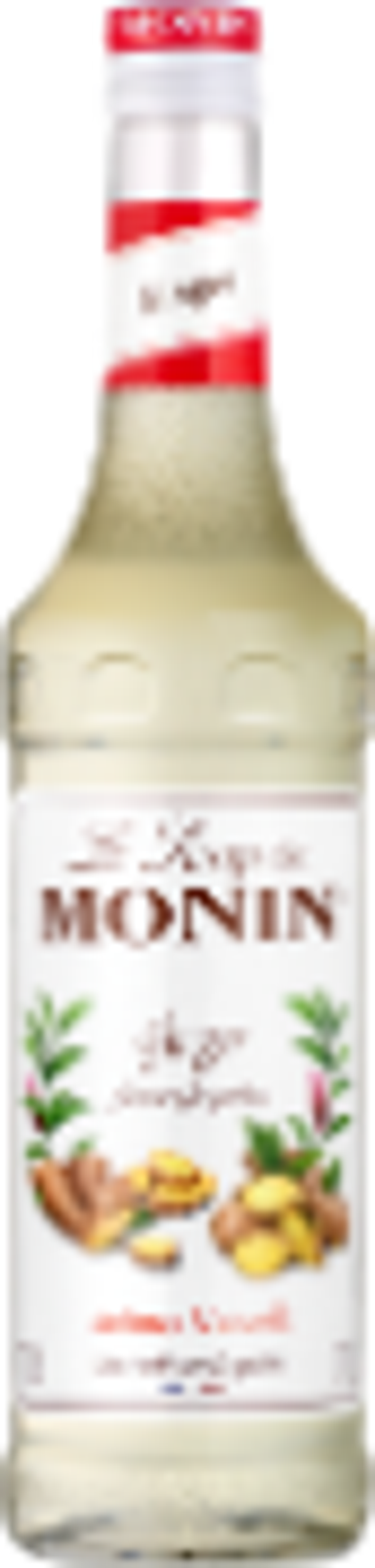 Ginger (Ingwer) Sirup
