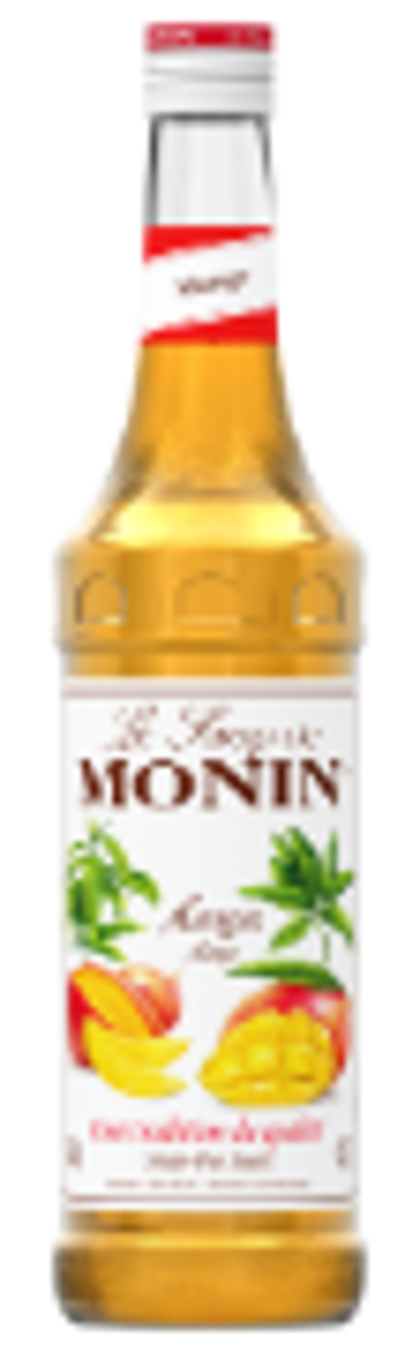 Monin Sirup Mangue (Mango)