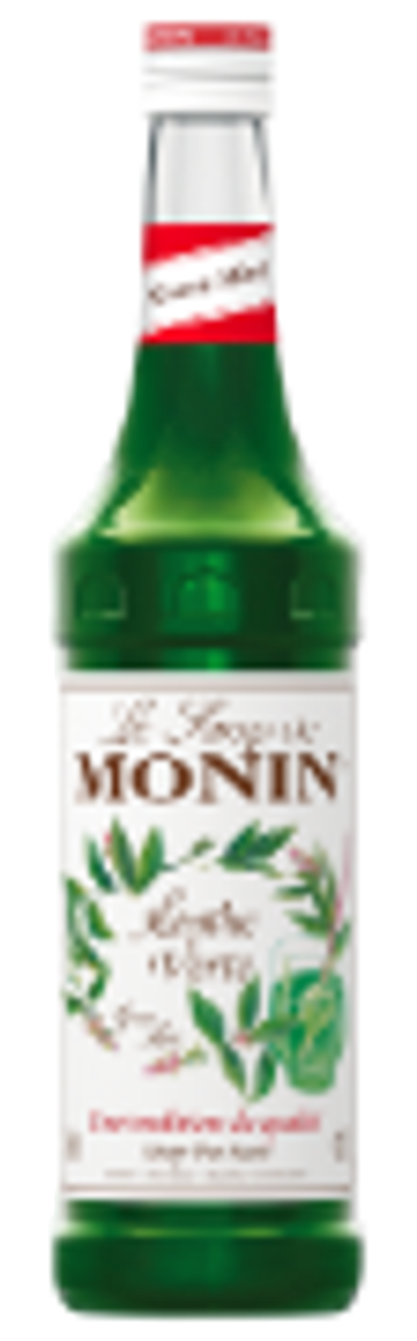Monin Sirup Menthe verte (grüne Minze)