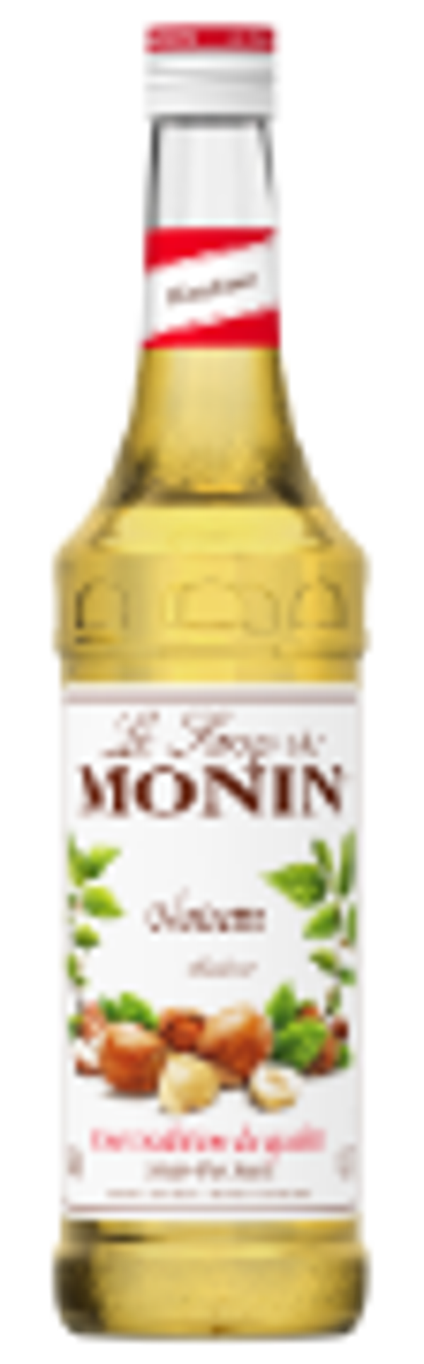 Monin Sirup Noisette (Haselnuss)