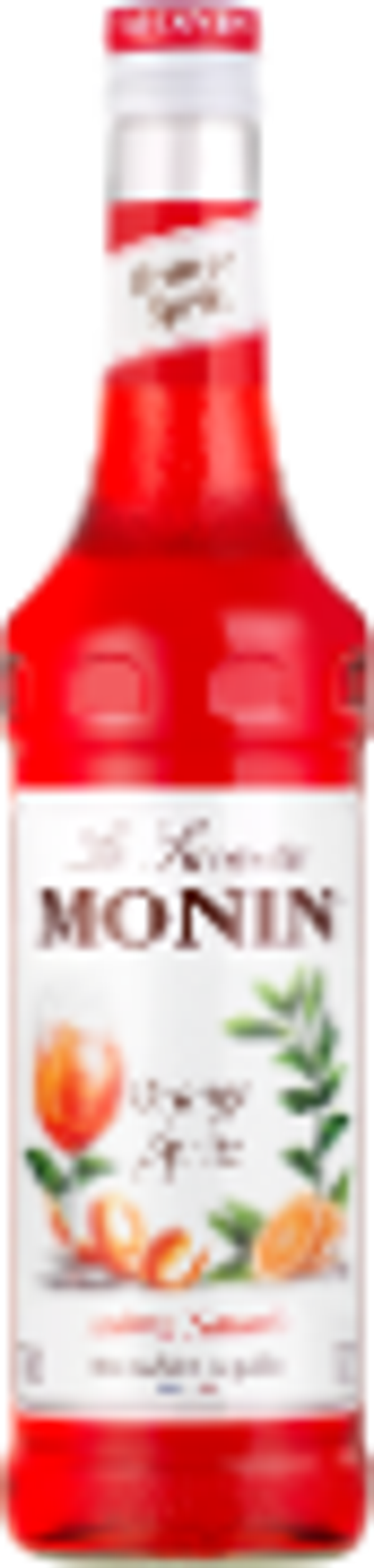 Monin Sirup  Orange Spritz