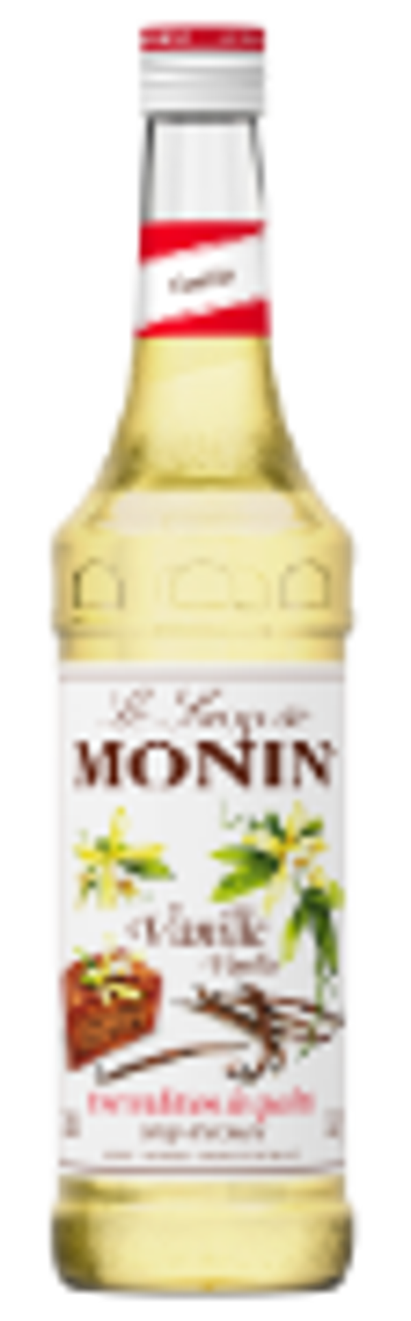 Monin Sirup Vanille