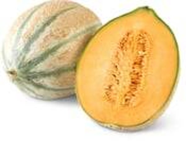 Netzmelonen