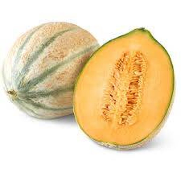 Bio Netzmelone 1 Stk