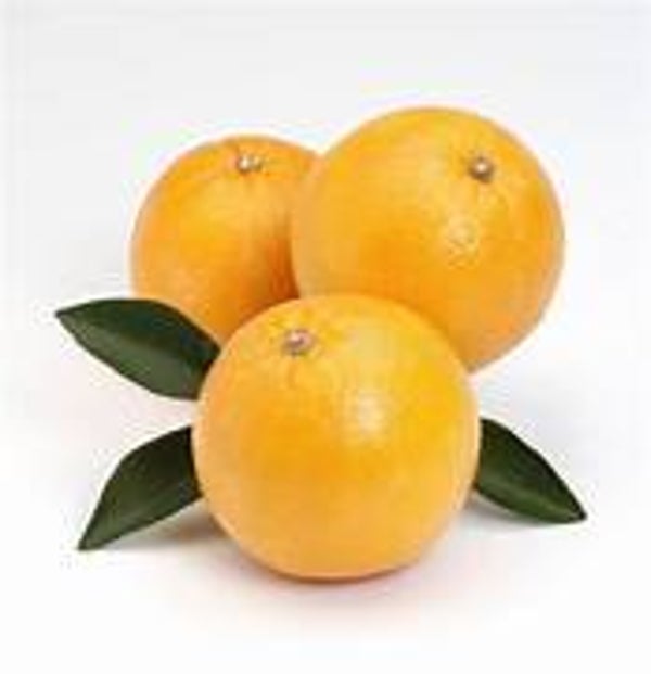 Orangen blond ca 1 Kg
