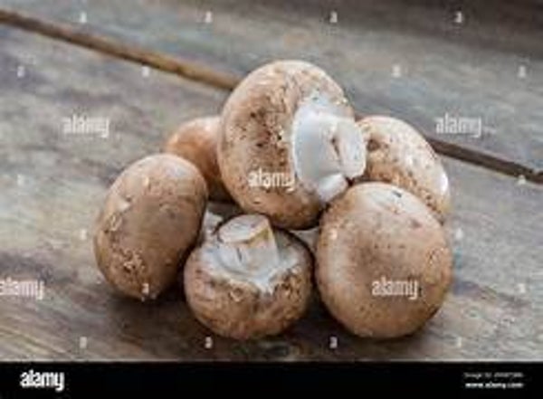 Bio Champignons braun ca 250g