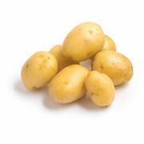 Bio Kartoffeln festkochend 1 Kg