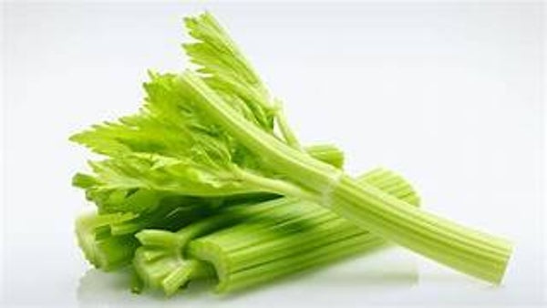 Bio Stangensellerie 500g