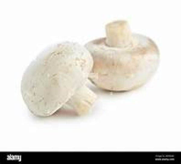 Champignon weissca 300g