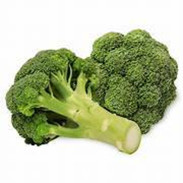 Bio Broccoli 500g
