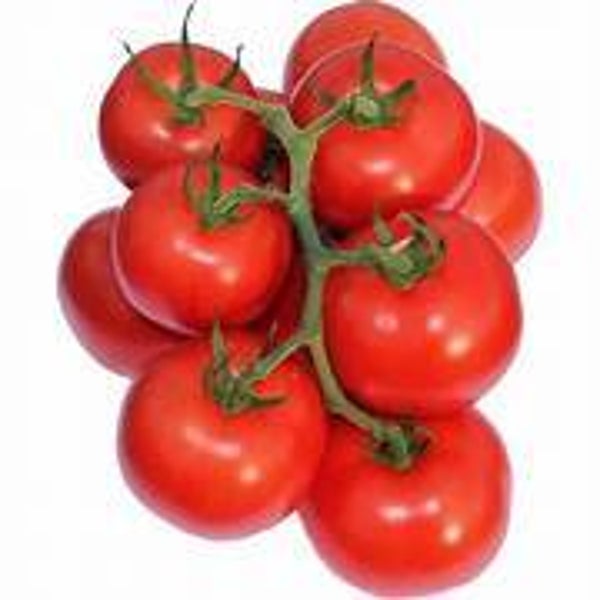 Rispertomaten 1 Kg
