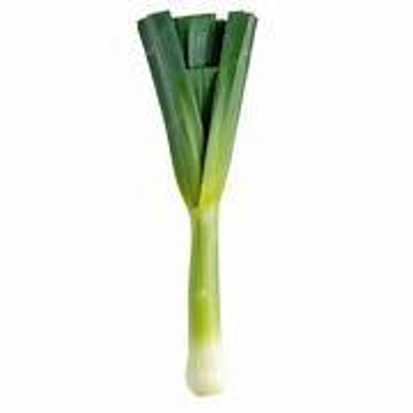Bio Lauch 1 Kg