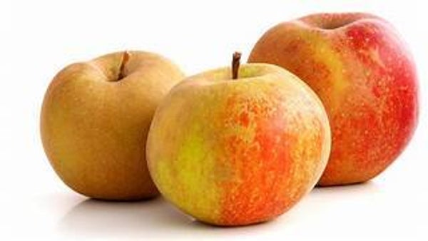 Aepfel Boskoop säuerlich ca 500g