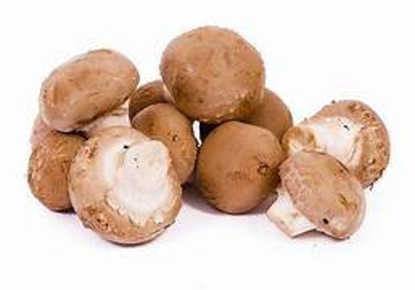 Champignons braun ca 1Kg
