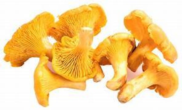 Eierschwämme ca 1 Kg