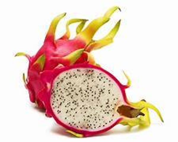 Pitahaya 1 Stk