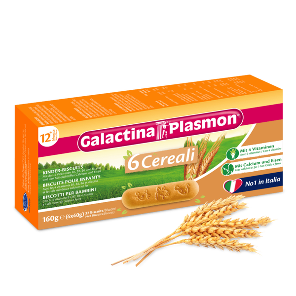 Galactina Plasmon 6 Cereali 160g