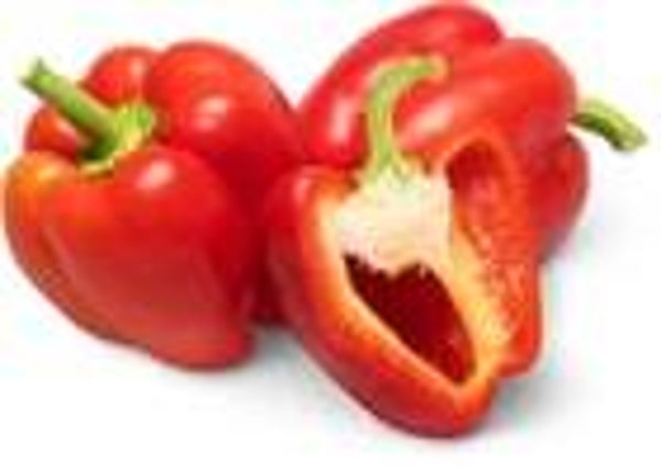 Peperoni Gastro