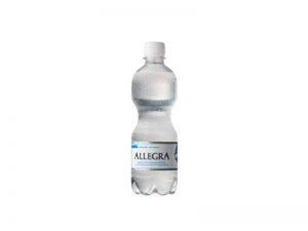 Allegra Minaral ohne Co2