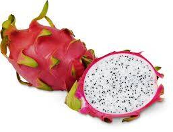 Pitahaya rot