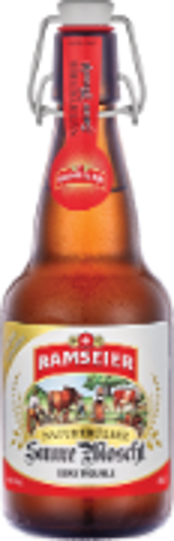 Ramseier Suure Moscht trüb 4% 12x49cl