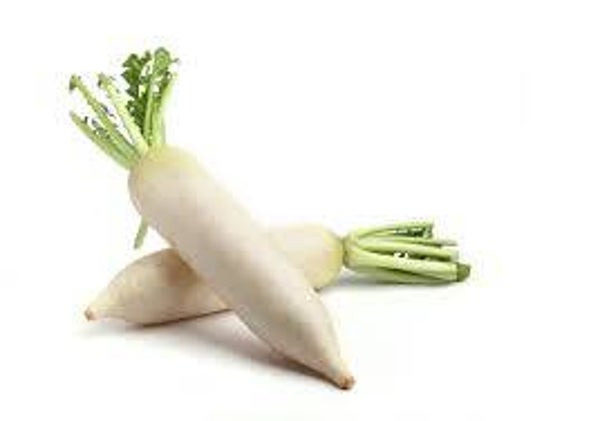 Rettich