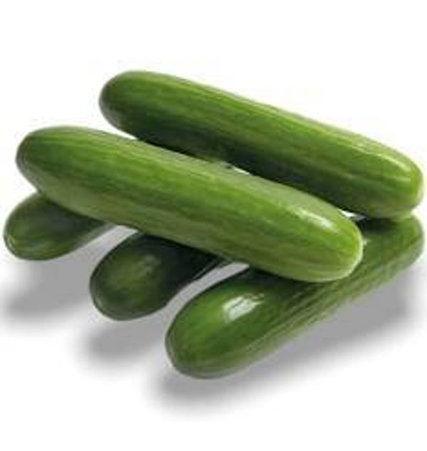 Bio Gurken Snack