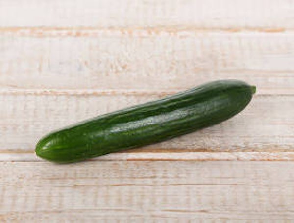 Bio Gurke Mini